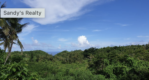 Screenshot 2024-02-26 at 1.14.22 PM.png