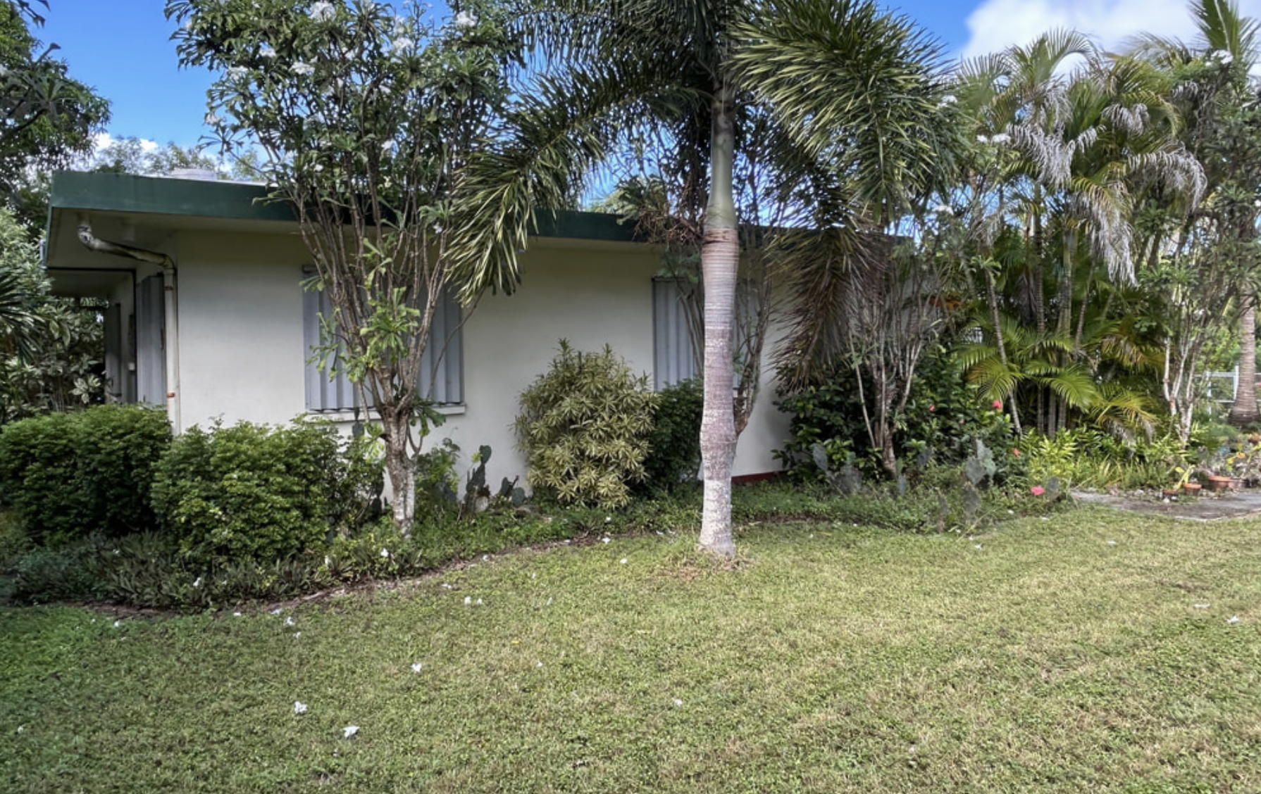 Screenshot 2025-04-06 at 7.45.47 AM.png