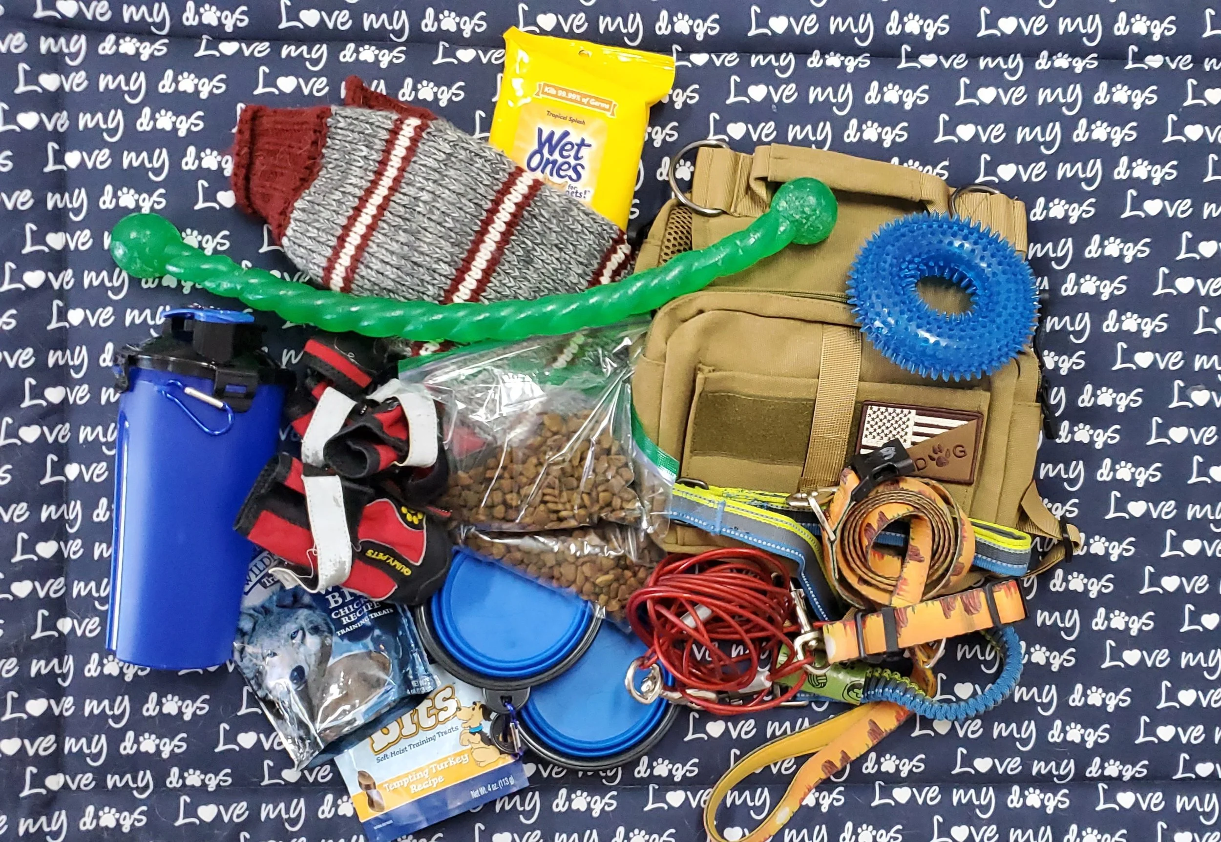 Camping essentials to pack for your dog including leash, water bowl, water bottle, dog food, treats, toy, wipes