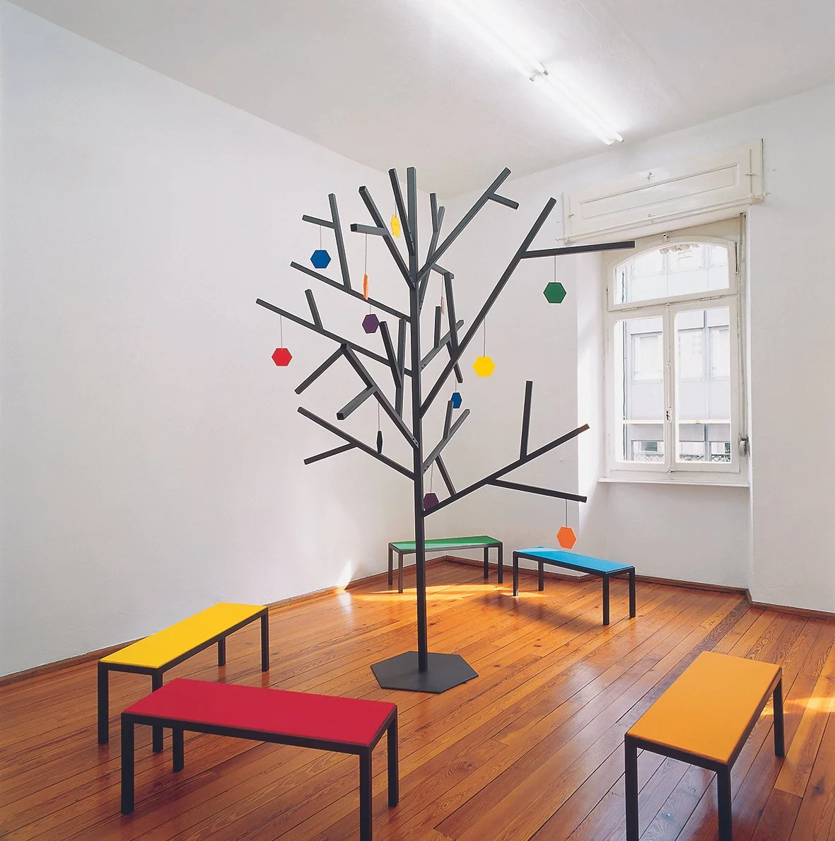 albero piccolo.jpg