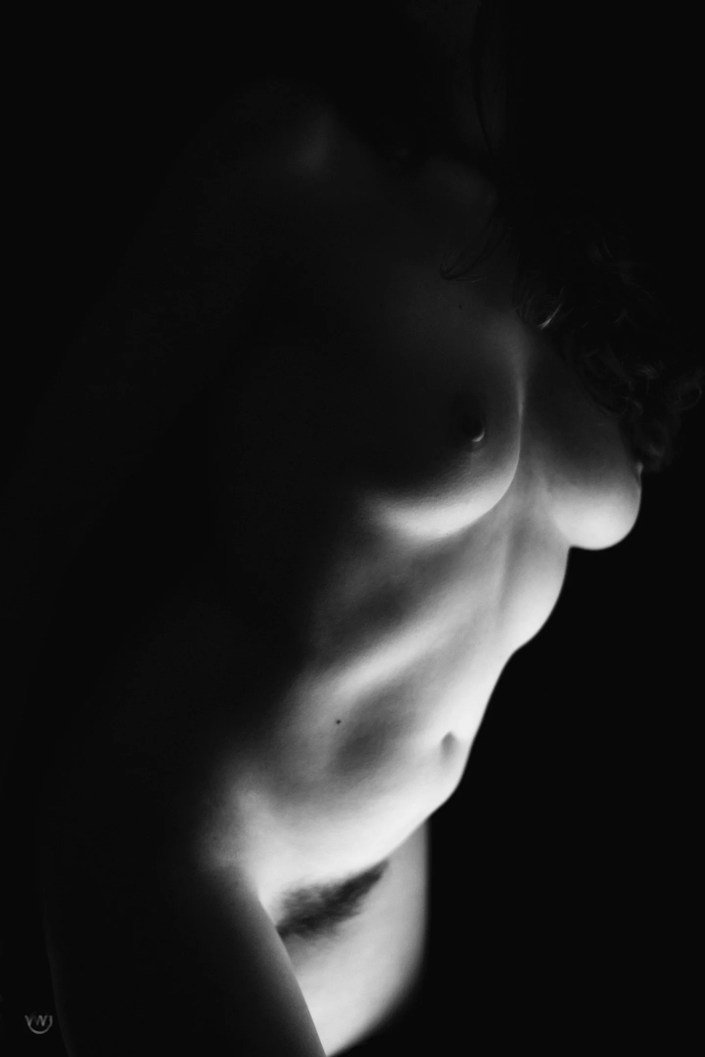 VWJ-2026-02-27-001558 copy.jpg