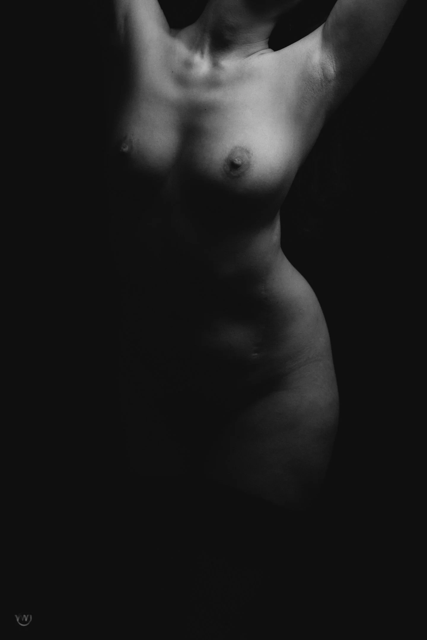 VWJ-2026-02-27-001513 copy.jpg