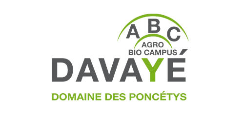 davaye.png