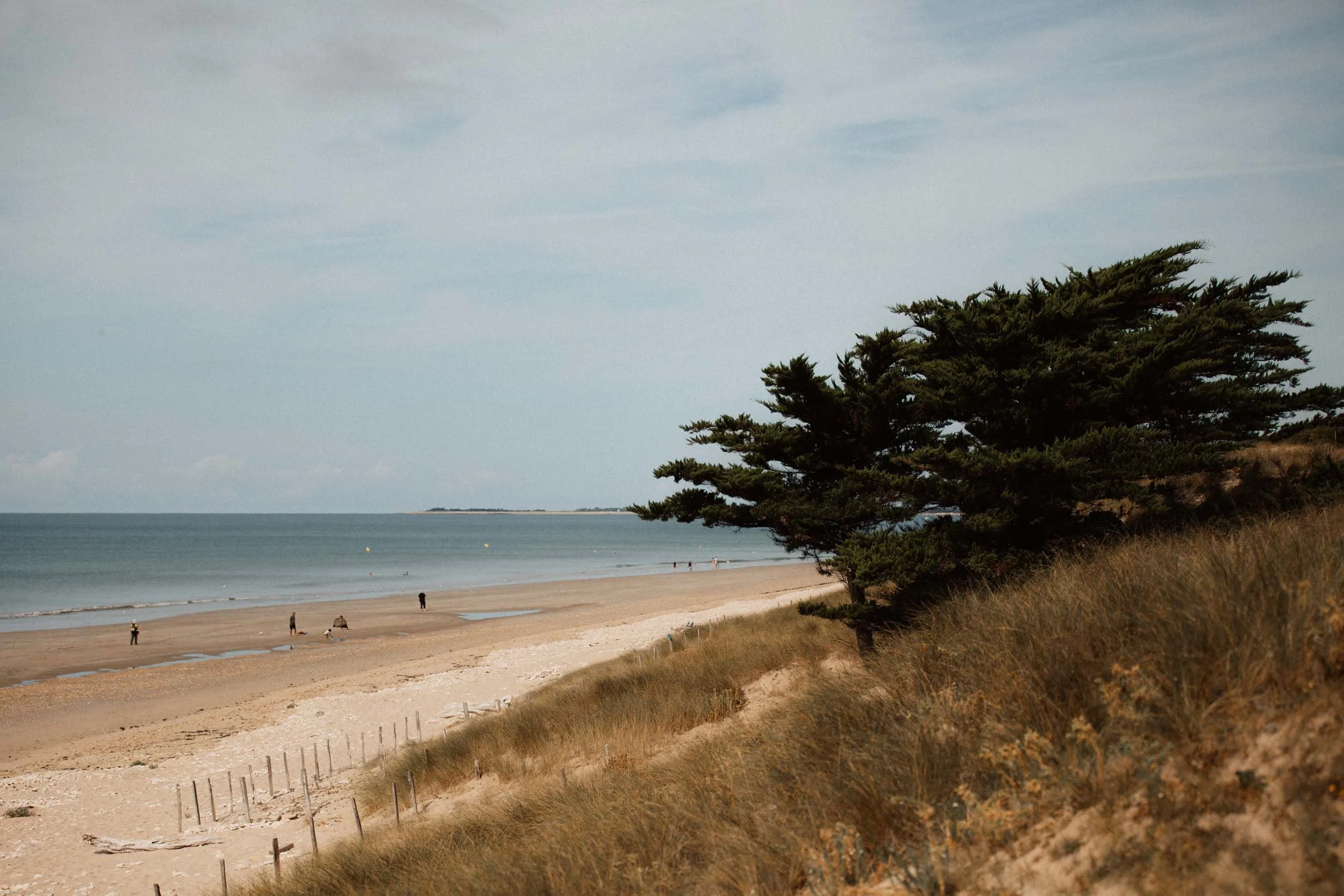 Photographe Le Bois-Plage-en-Ré