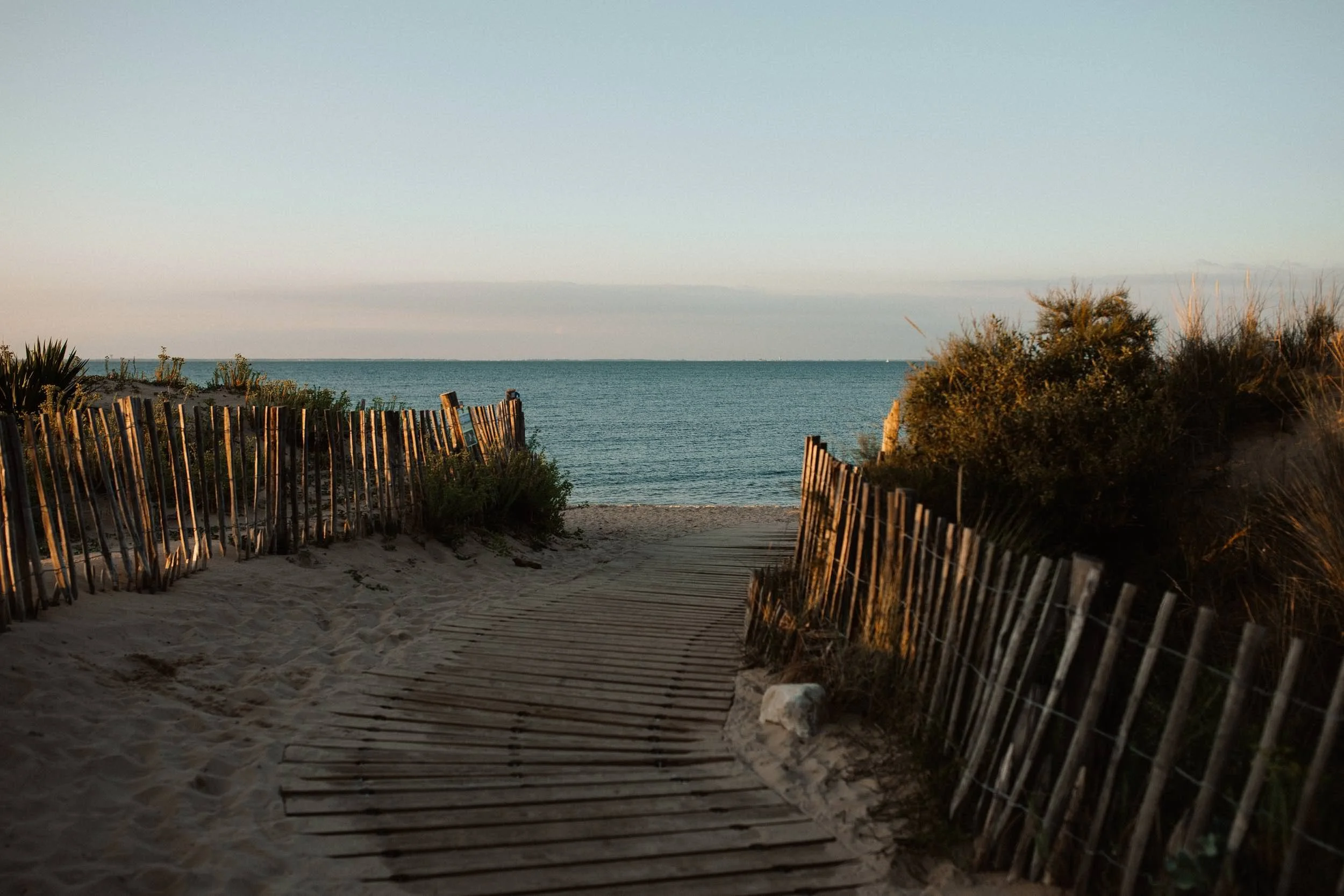 Ganivelles et dune face à la mer aux Portes-en-Ré, Île de Ré