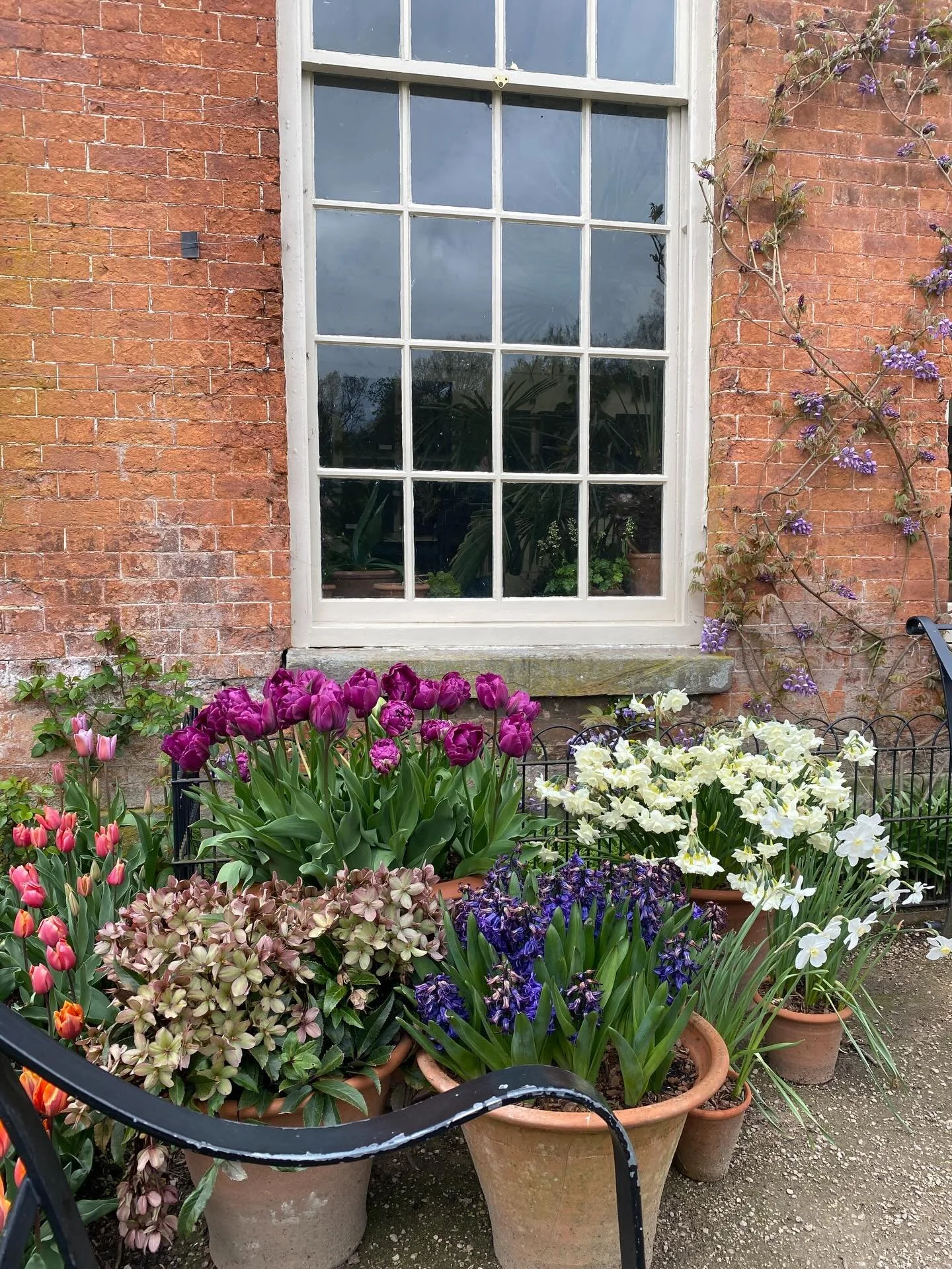 The gardens at Dunham are bursting with Spring at the moment. It&rsquo;s a joyful riot of colourful tulips! There&rsquo;s also a lovely art exhibition inside the orangery showing replica pieces from the botanical artist Mary Delaney. Definitely worth