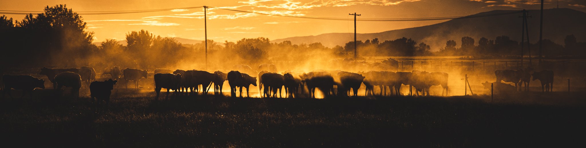 Bicikli túra_11.jpg