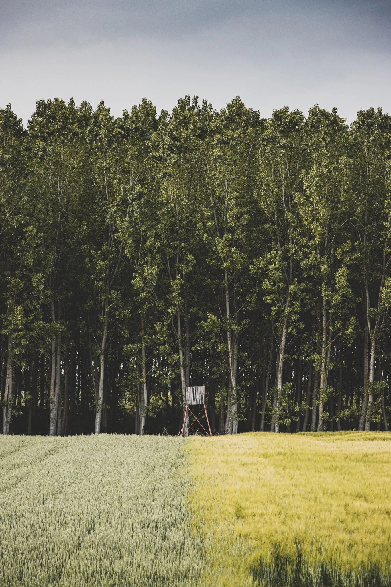 Bicikli túra_10.jpg