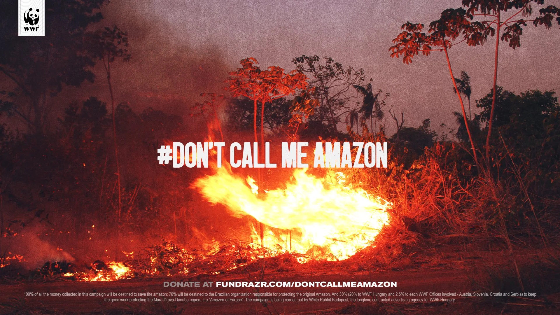 don't call me amazon