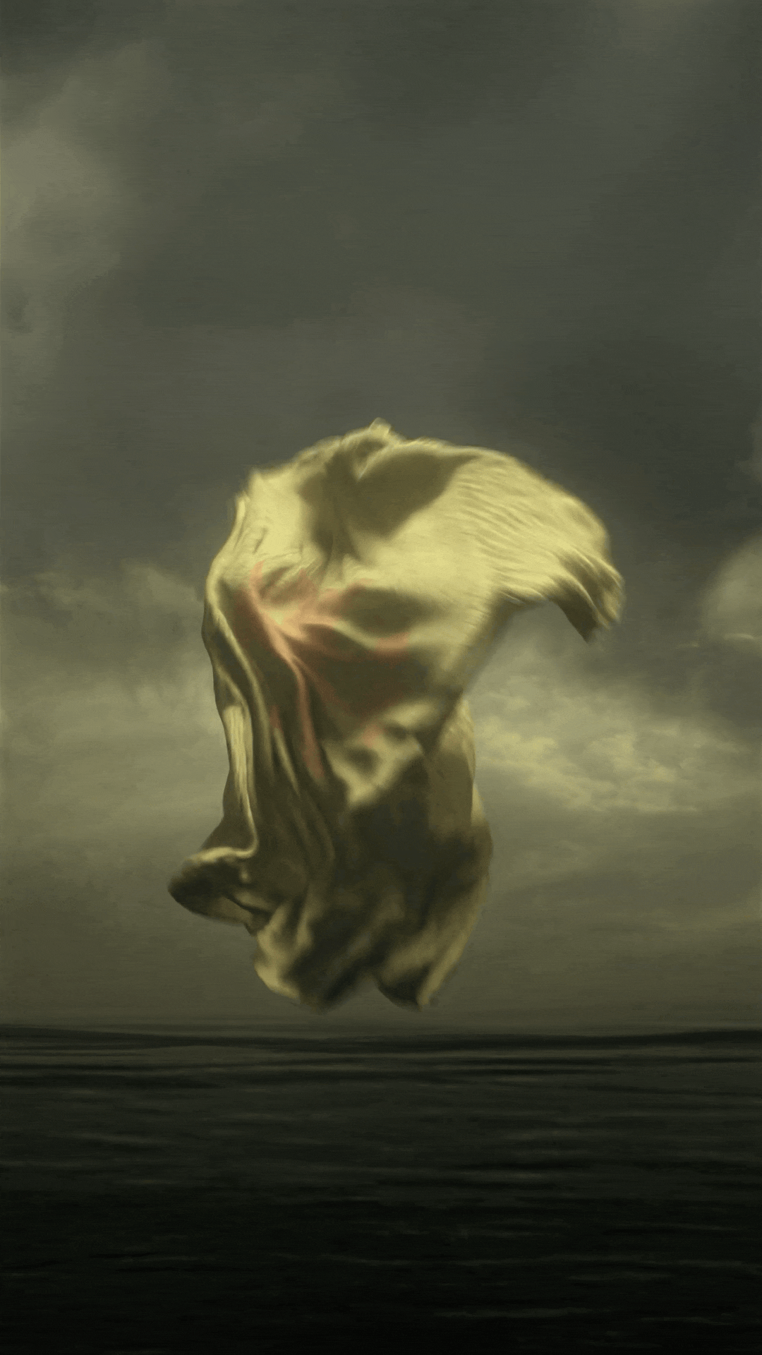 9x16_tshirt3.gif