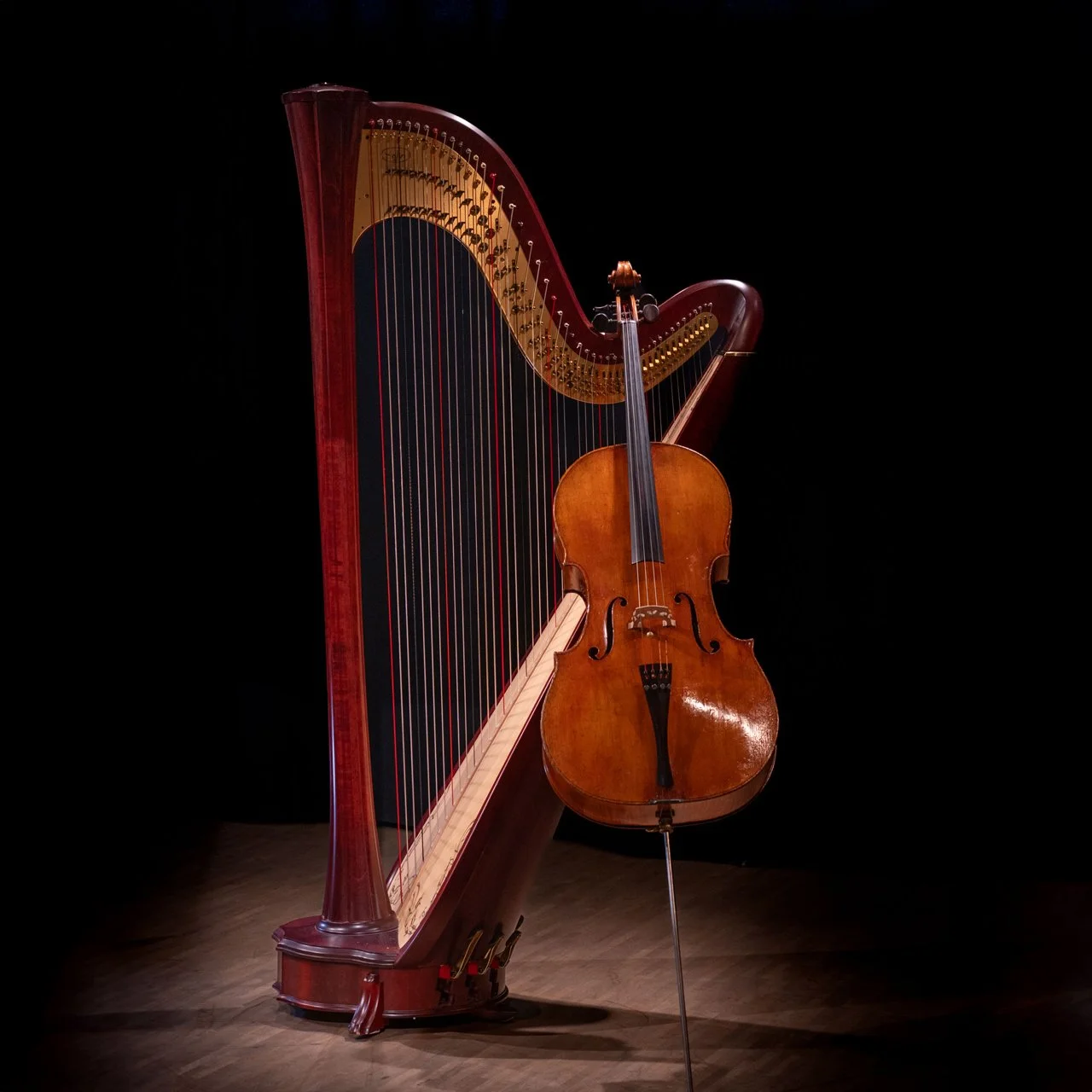 Klassische Musik x snflwr