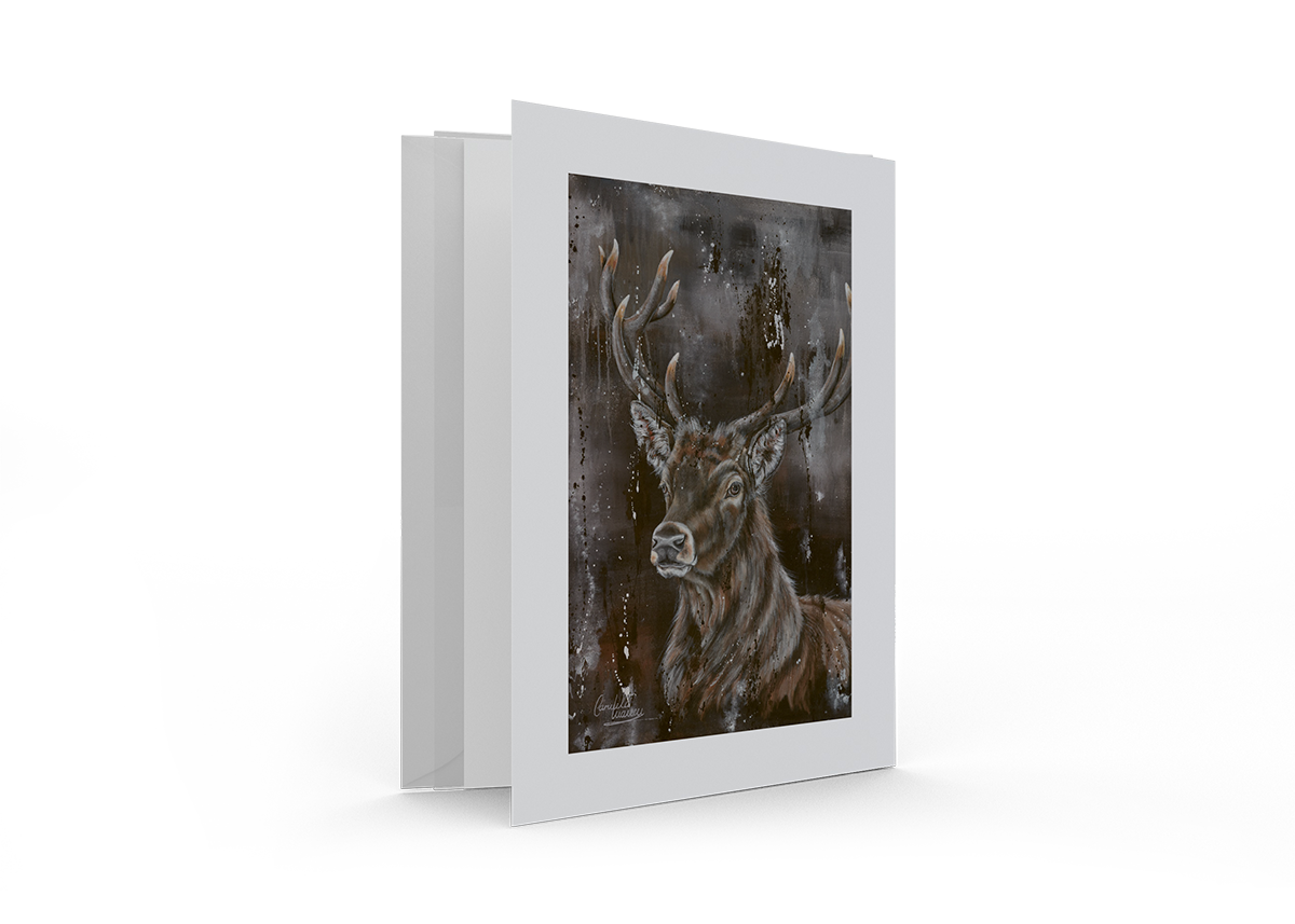 KMKCI—0020.png