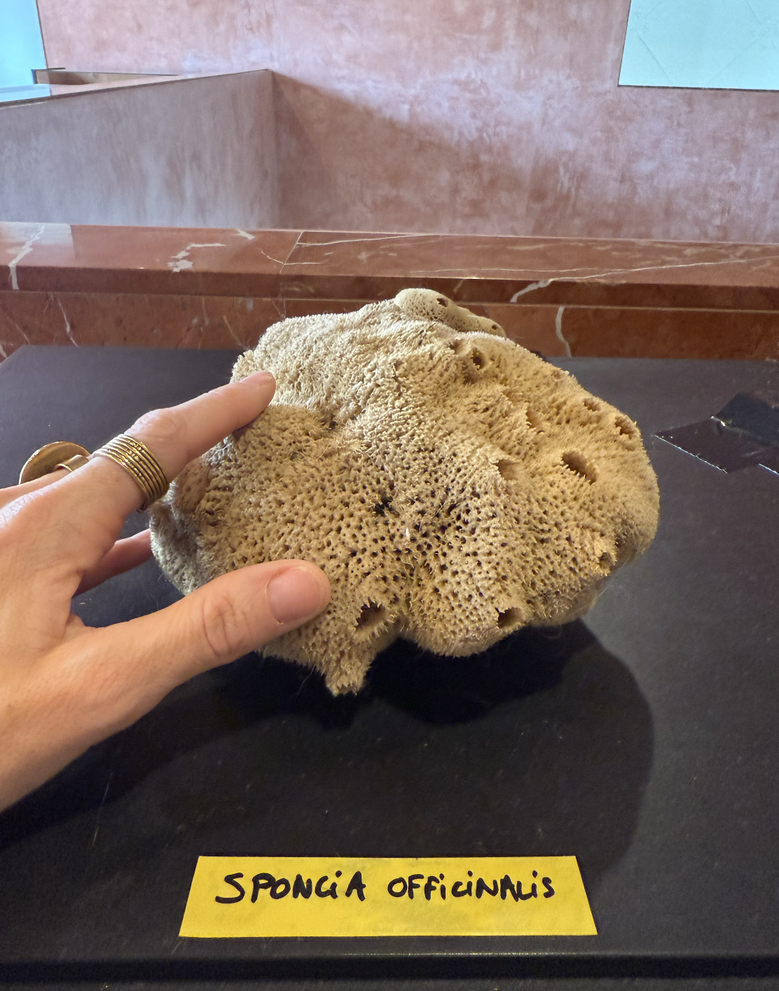 Mini installations - Enfin Dimanche! La Comédie de Genève - Genève, CH