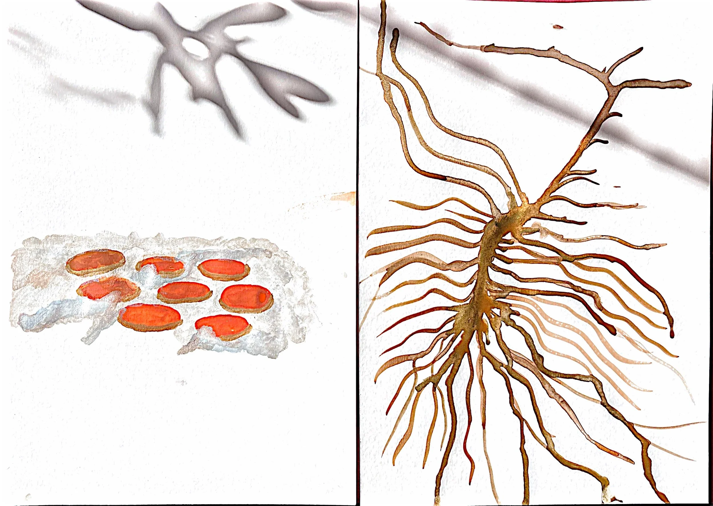 The living committee: Neural Spruces Talk - BIENNALE ART MÔTIERS - CH