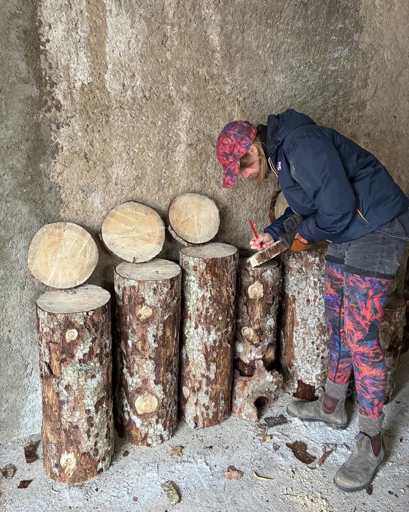 First day of installation prep for The Living Committee: Neural Spruces Talk &mdash; Biennale Art M&ocirc;tiers 2026.

With Pierre-Alexis Pochon and the @artmotiers team, we began working with local spruce wood. What strikes you immediately is the sh