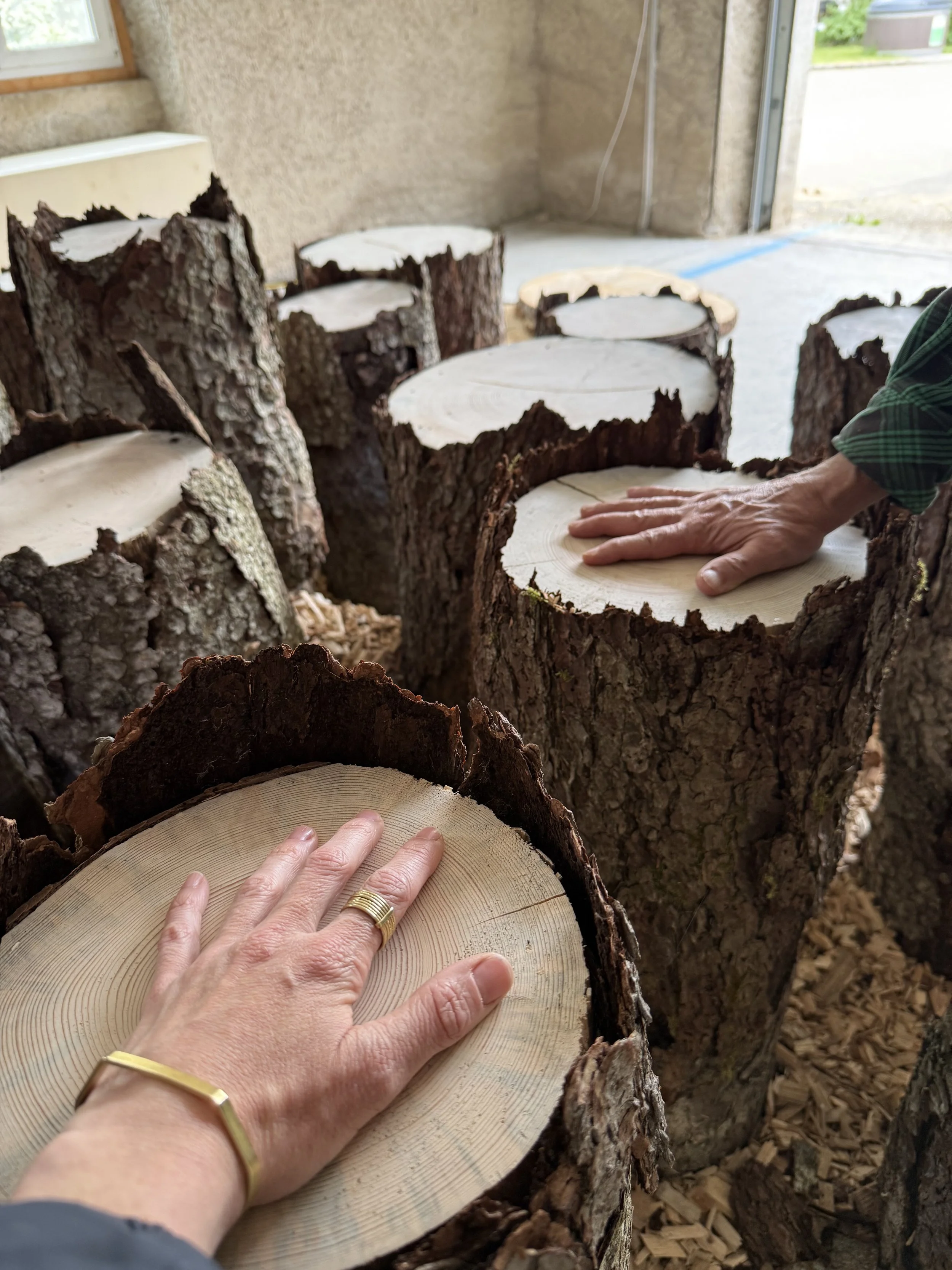 The living committee: Neural Spruces Talk - BIENNALE ART MÔTIERS - CH