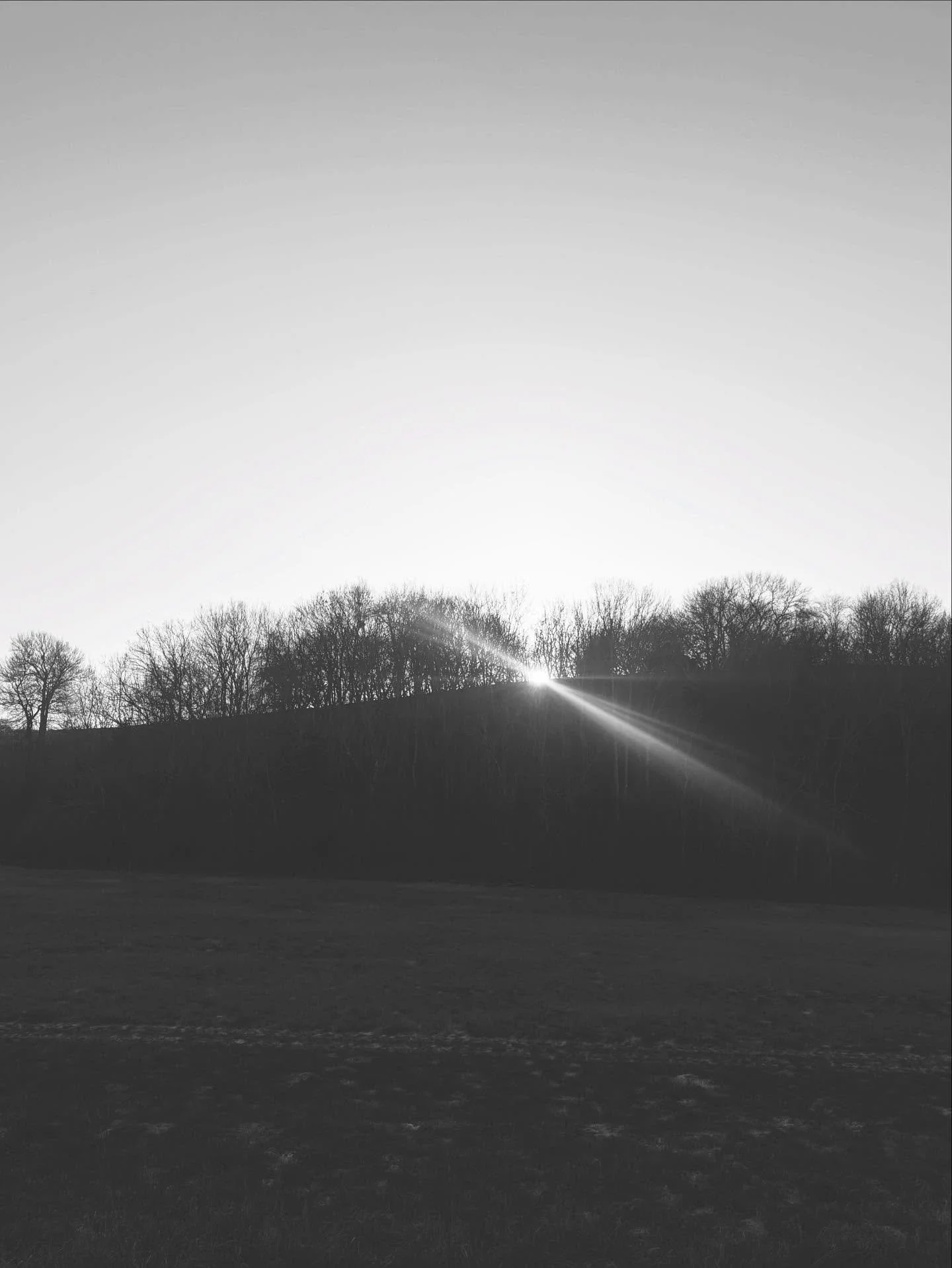 An ode to January and its light &hellip;