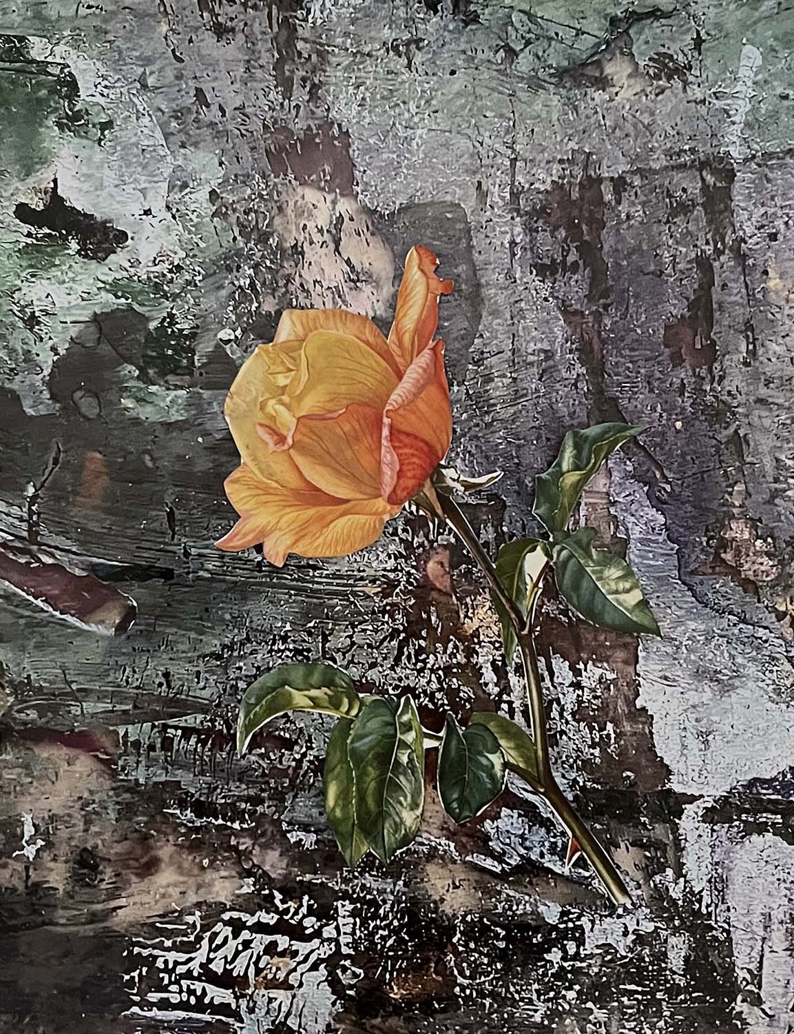 Symbol of Delight Painted collage 11x14