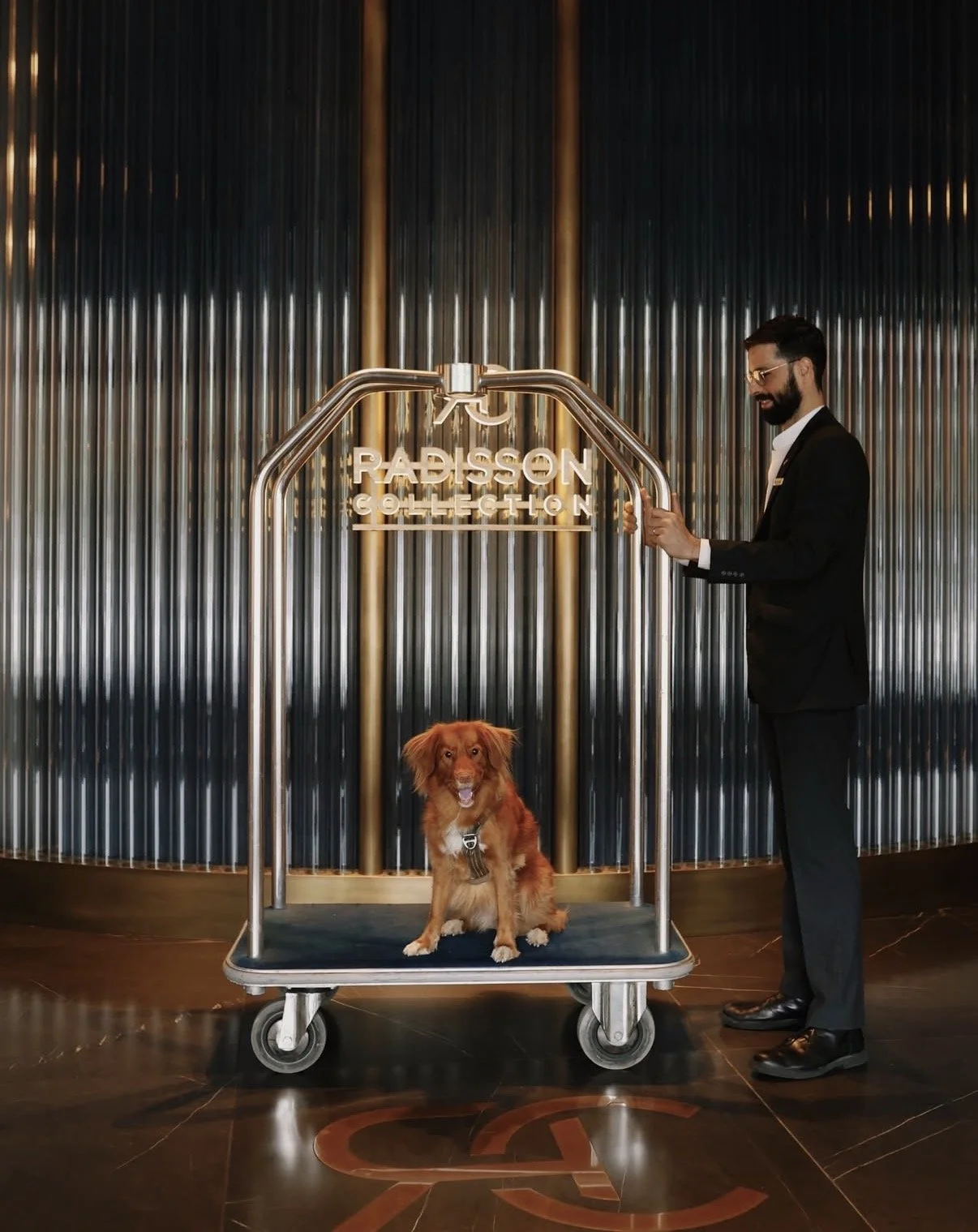 Meeting & Events Organizer (Radisson Collection Hotel Berlin)