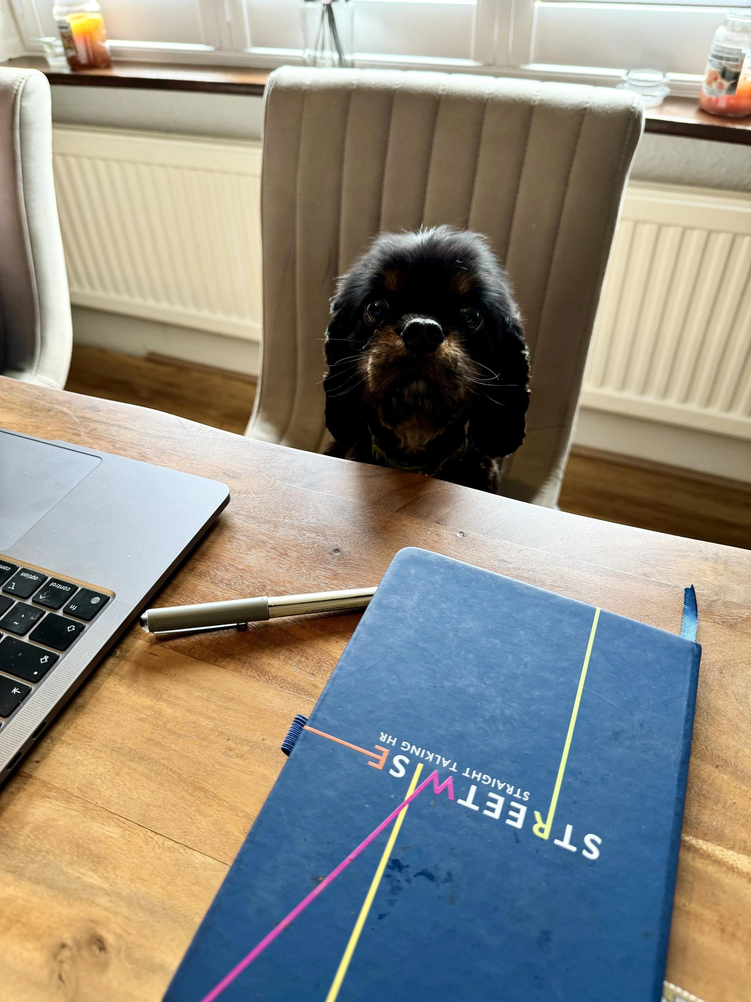A puppy sitting at a wooden table, along with a closed blue notebook, a silver pen, and a laptop. 