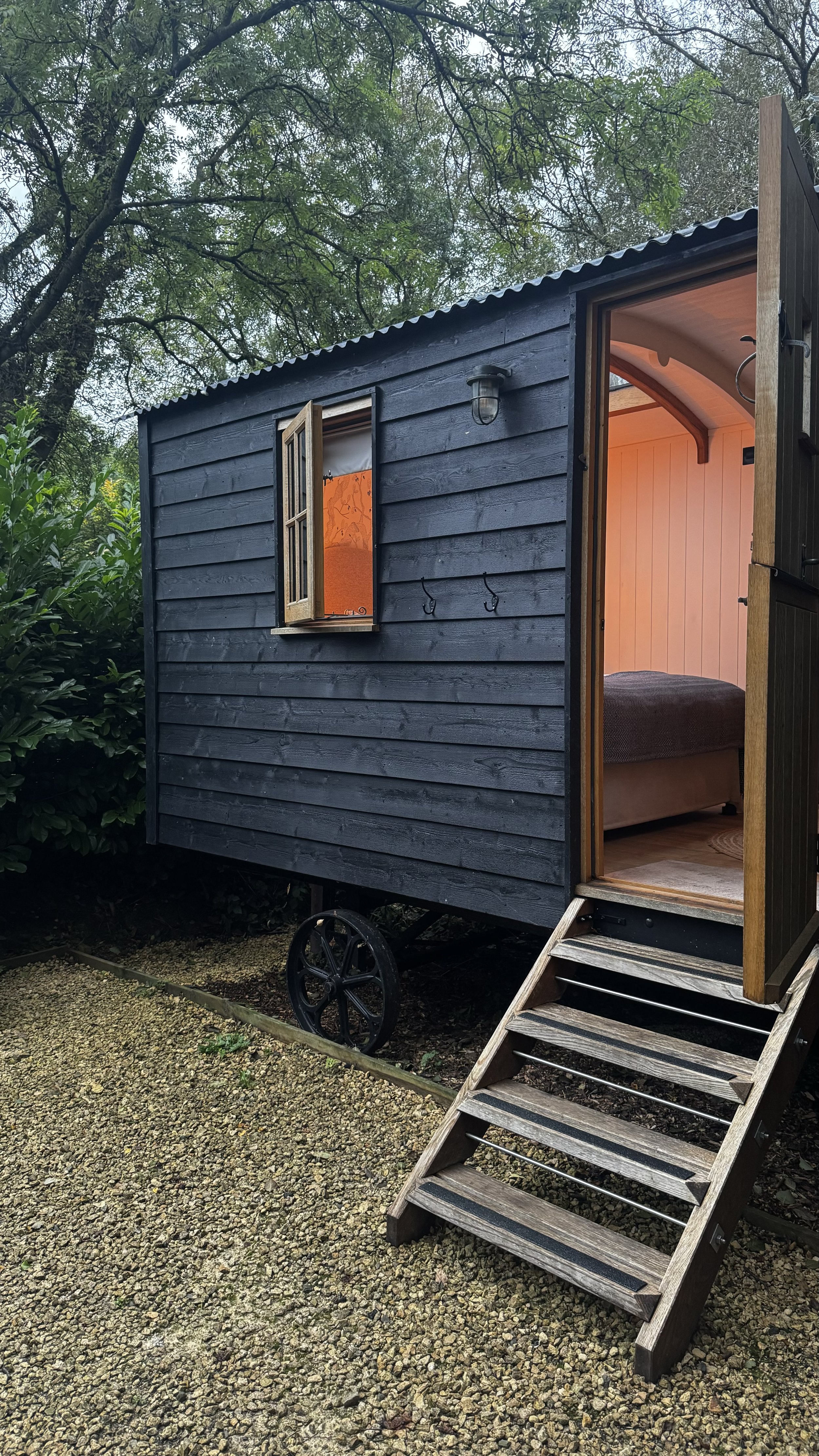 Hideaway Hut at The Fish, with an open door and window, situated among green trees. The cabin has a porch with steps leading up to it, and there are hooks on the wall outside. The interior of the cabin appears warm and cozy.