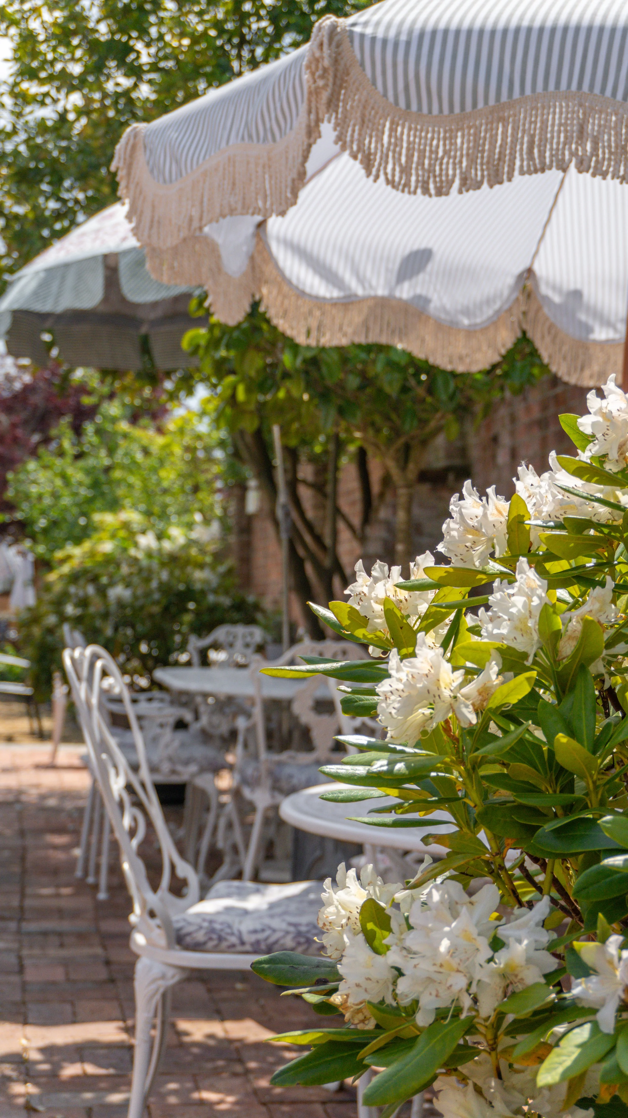 Outdoor patio at Stanwell House with white metal chairs and table, surrounded by greenery and flowering plants, under striped umbrella with beige fringe