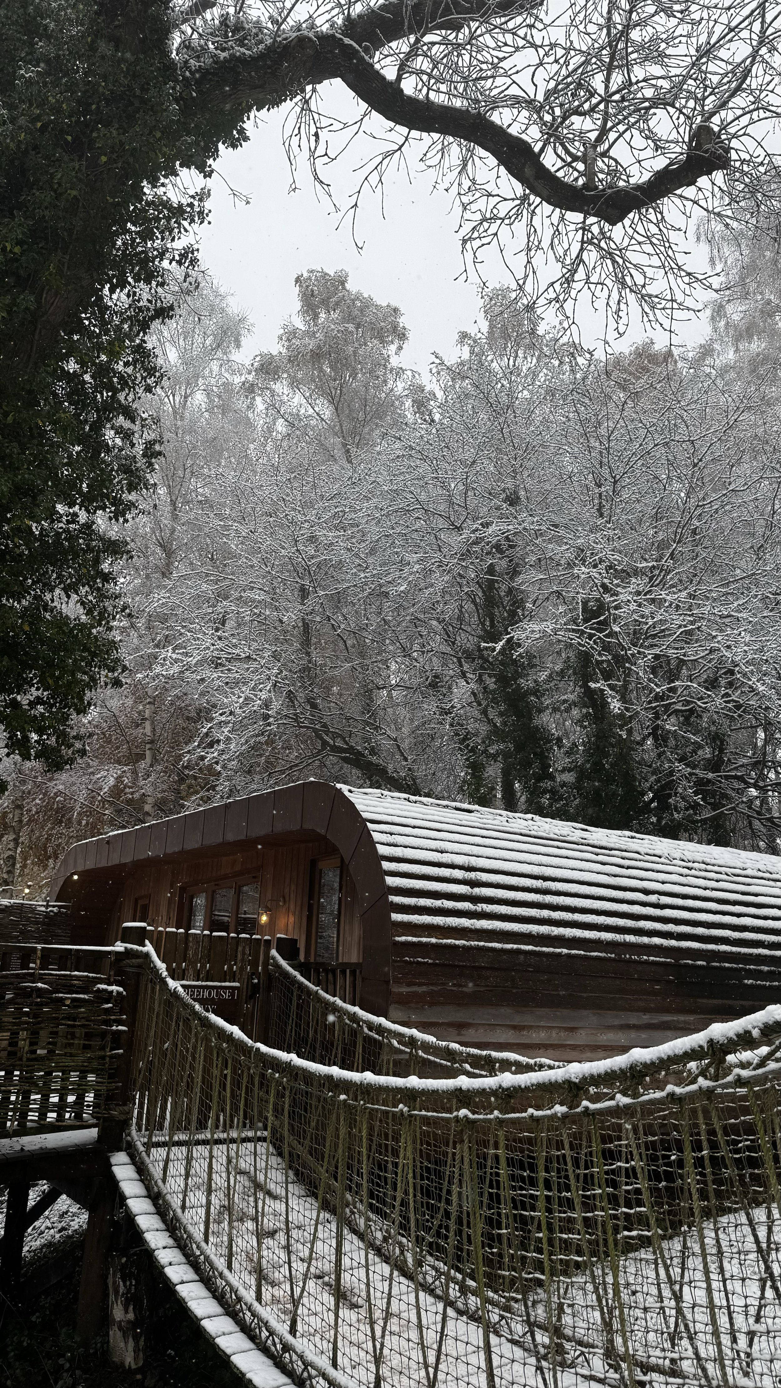 Treehouse at The Fish with snow on the roof, surrounded by a snow-covered fence and trees in a winter landscape.