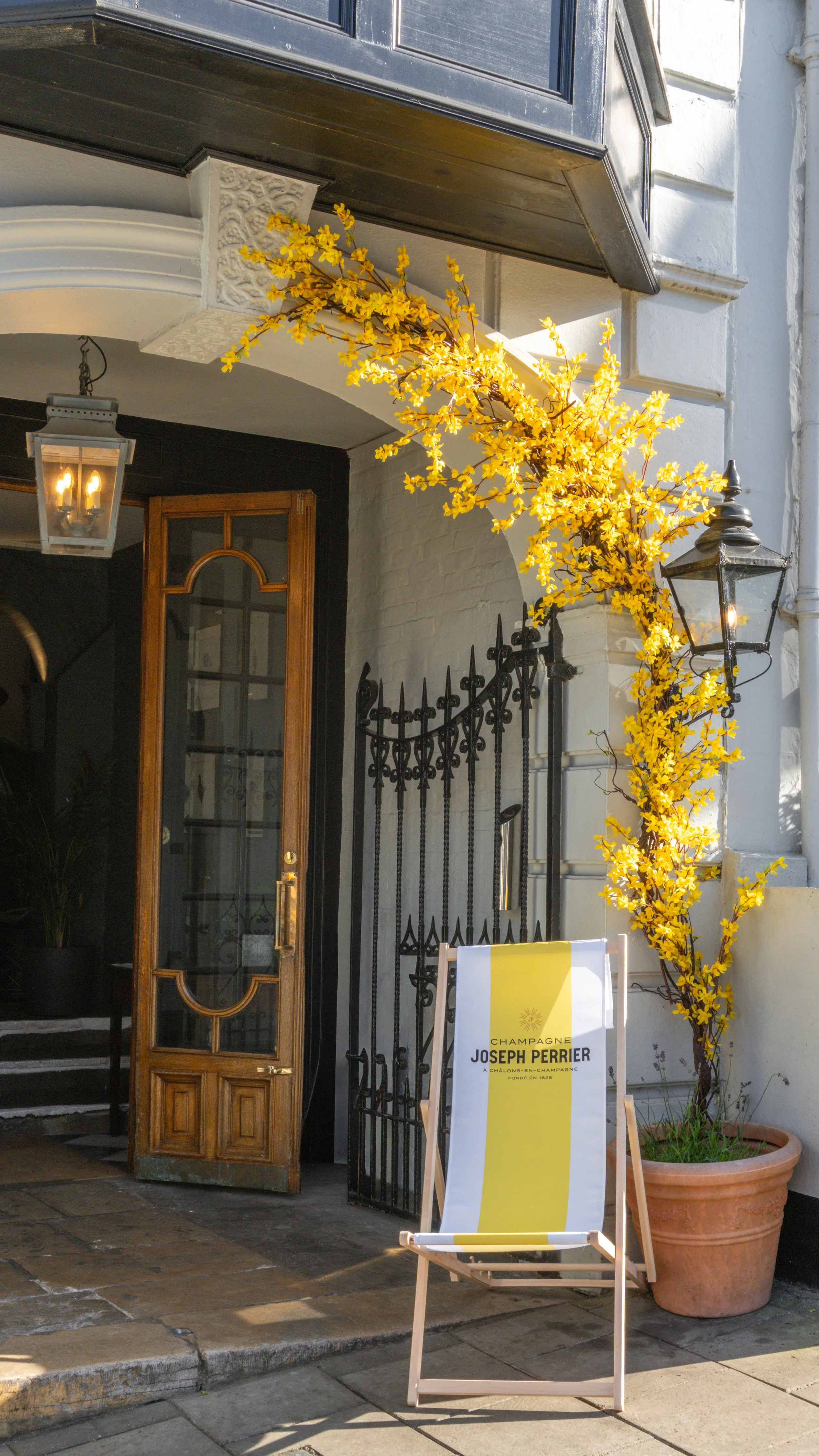 Yellow flowering plant outside a Stanwell House with an open wooden door, a black wrought-iron fence, and a sign for Joseph Perrier champagne.