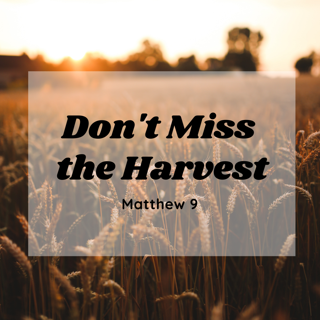 Don’t Miss the Harvest