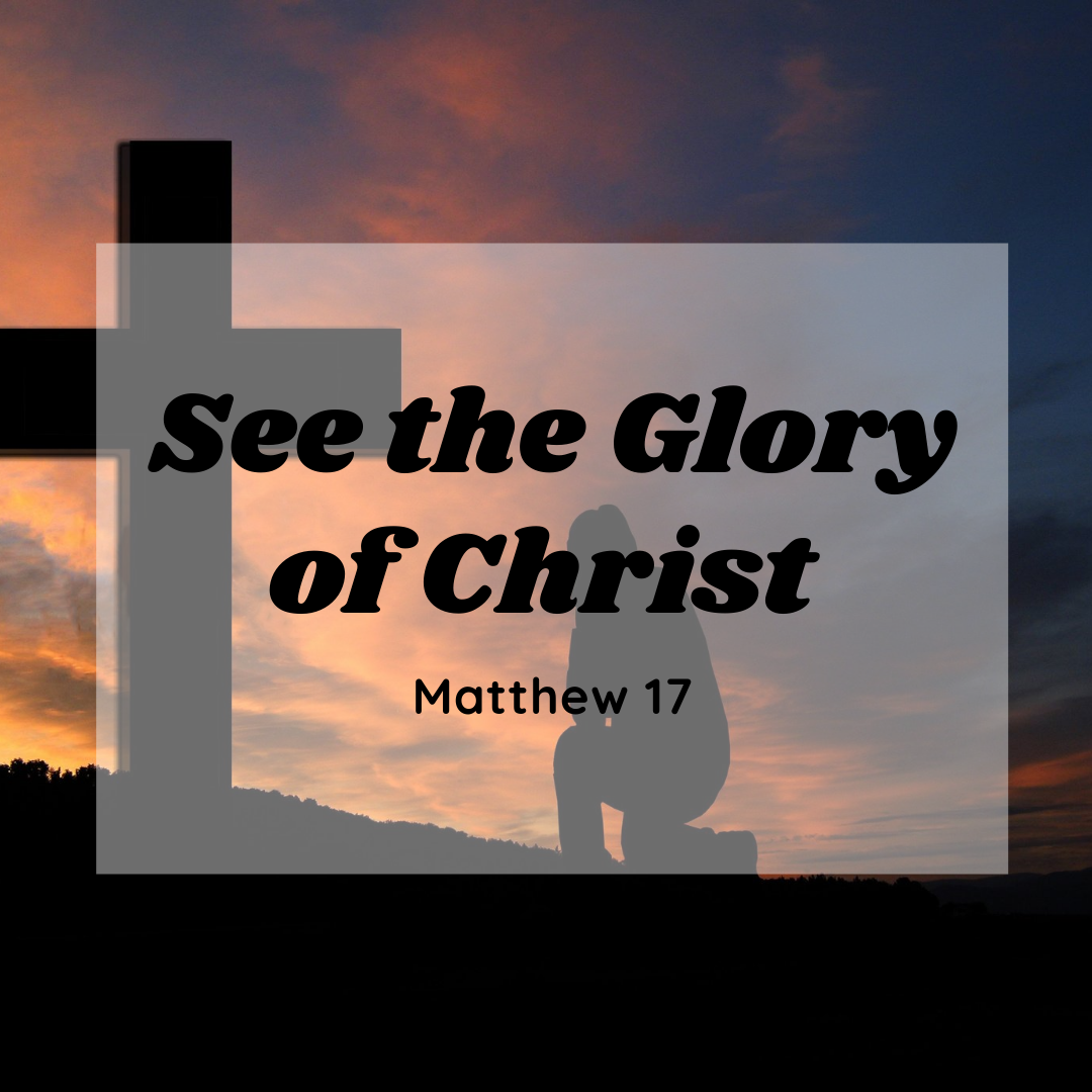 See the Glory of Christ