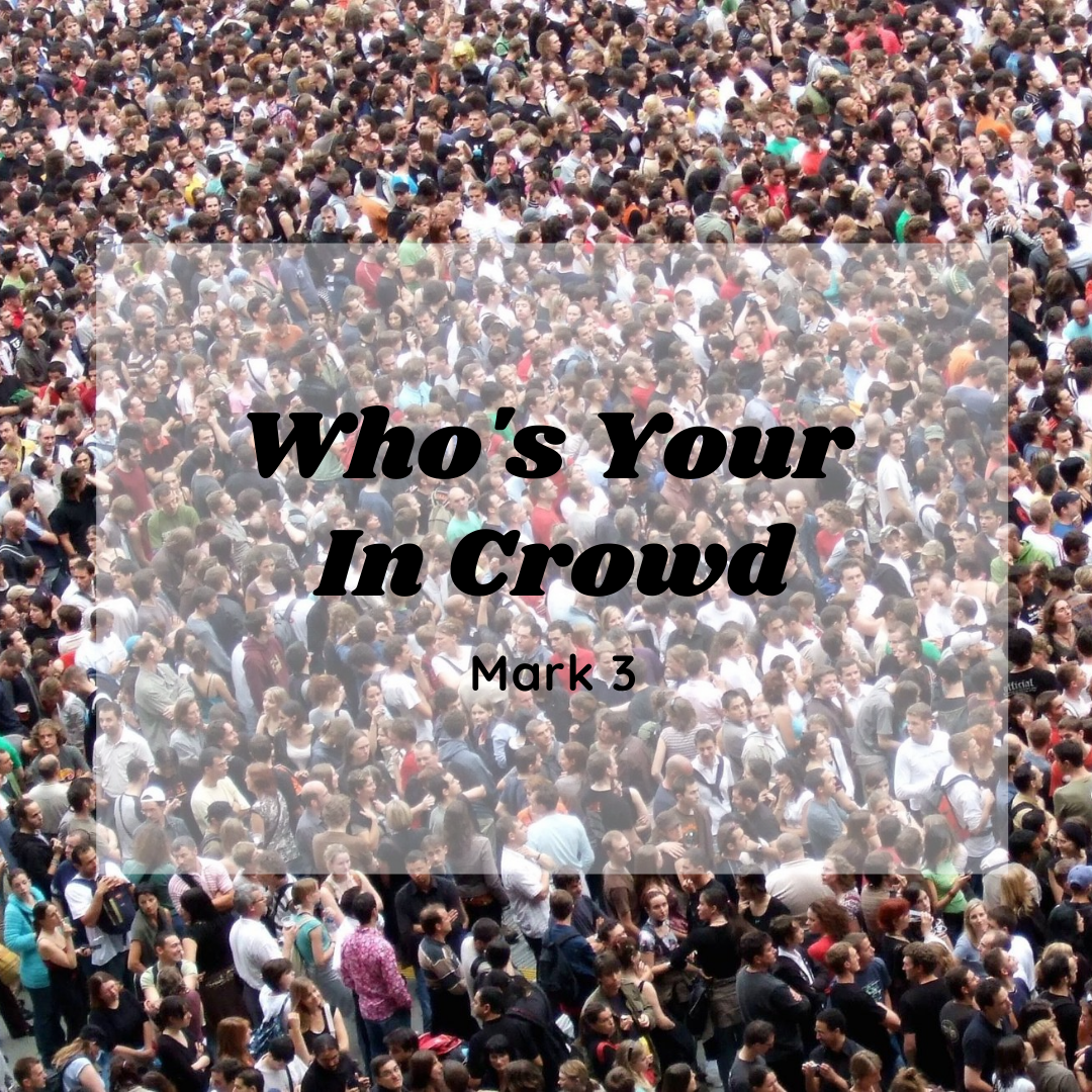 Who’s Your In Crowd?
