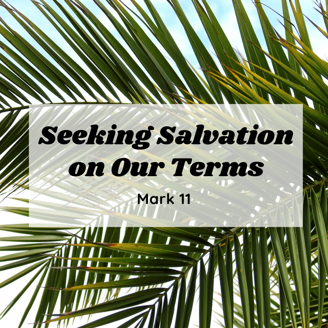 Seeking Salvation on Our Terms