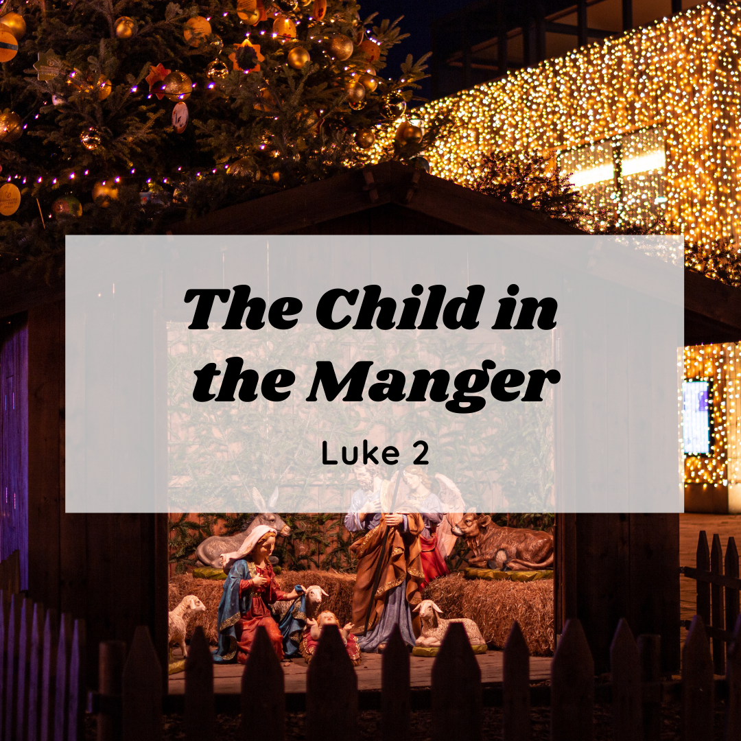 The Child in the Manger