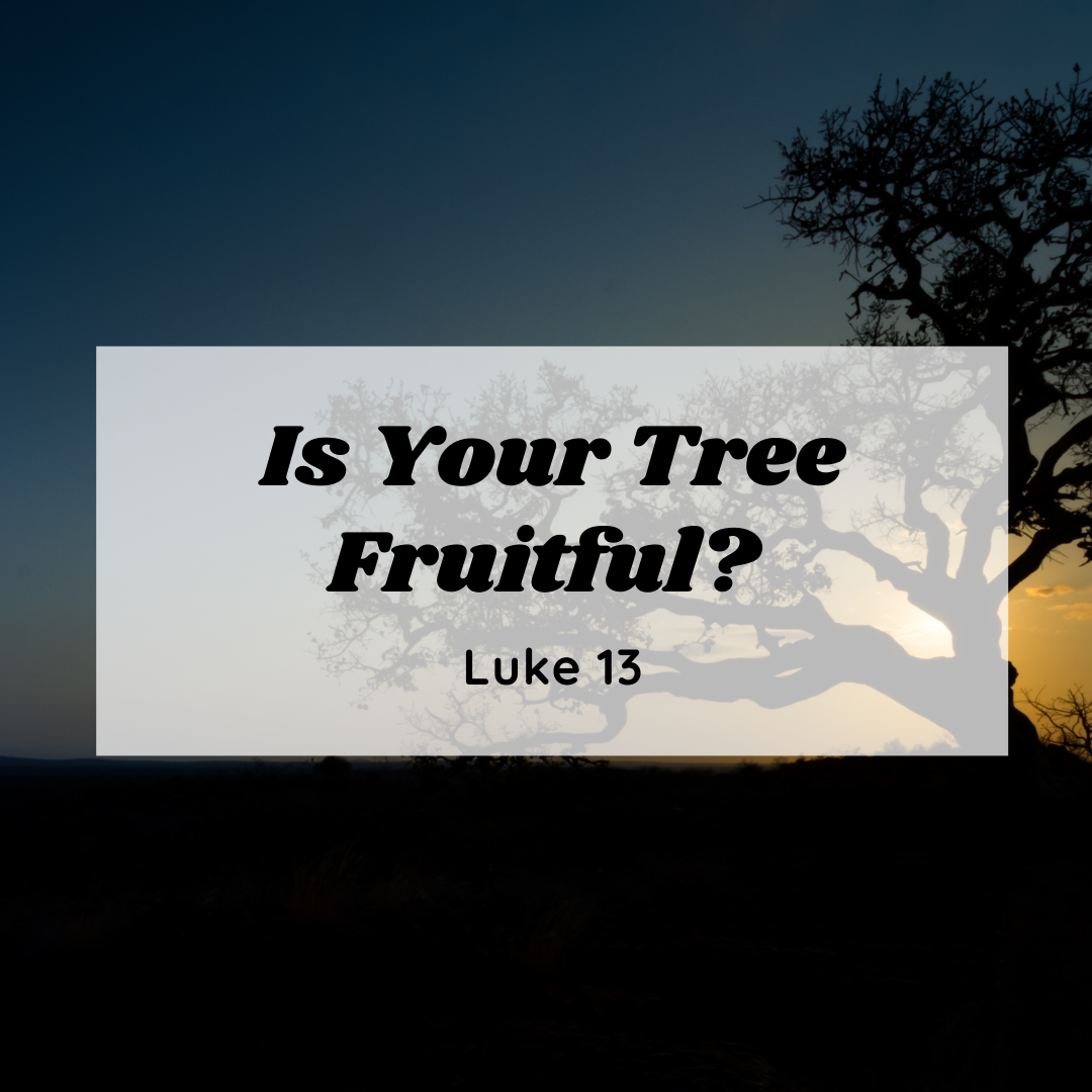 Is Your Tree Fruitful?