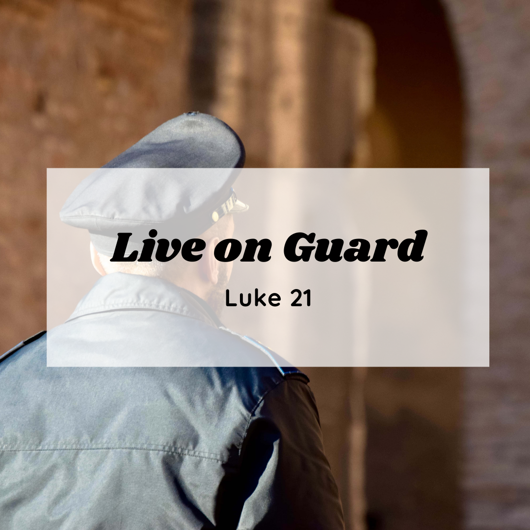 Live on Guard