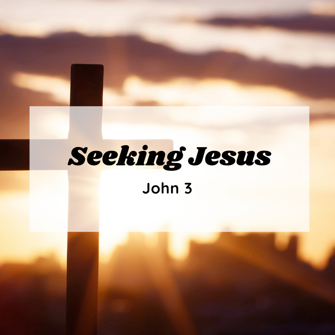 Seeking Jesus
