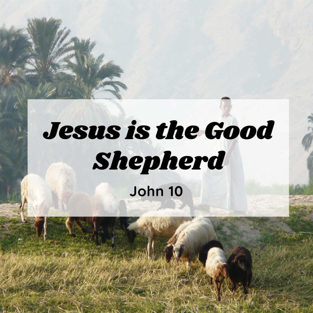 Jesus is the Good Shepherd