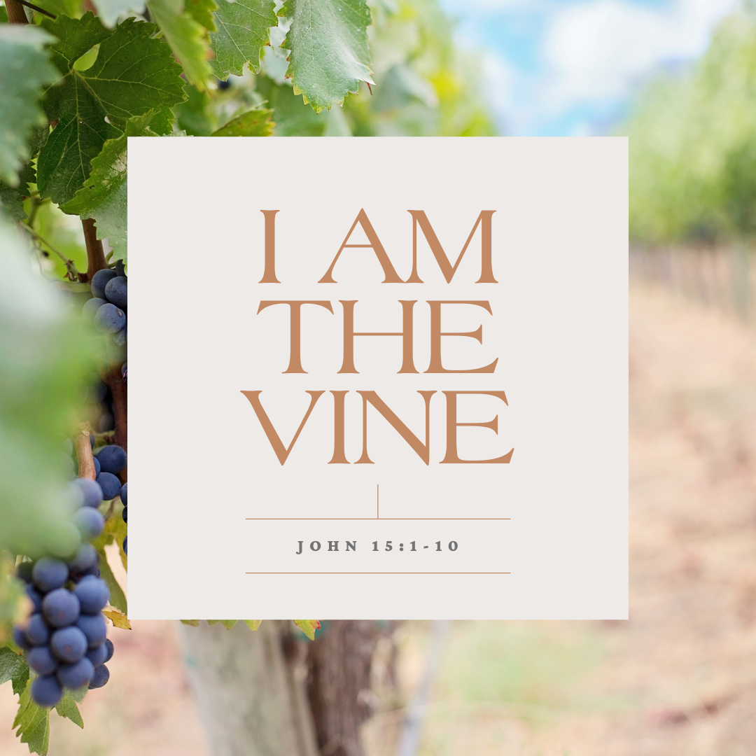 I AM the Vine