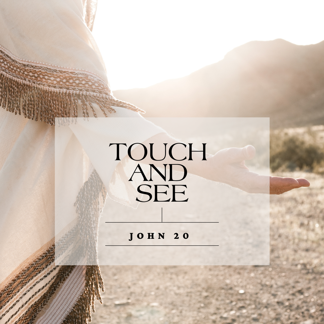 Touch and See