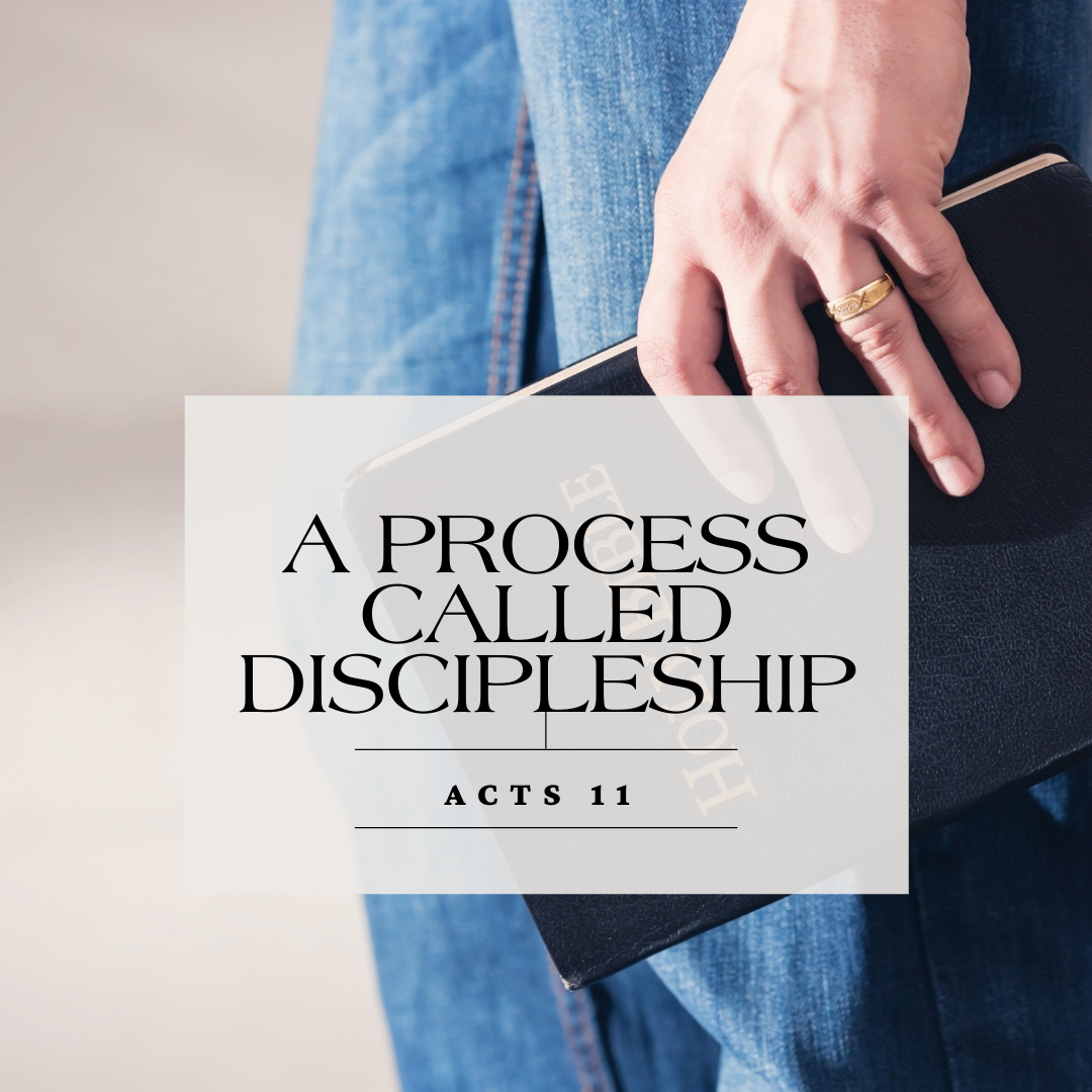 The Process Called Discipleship
