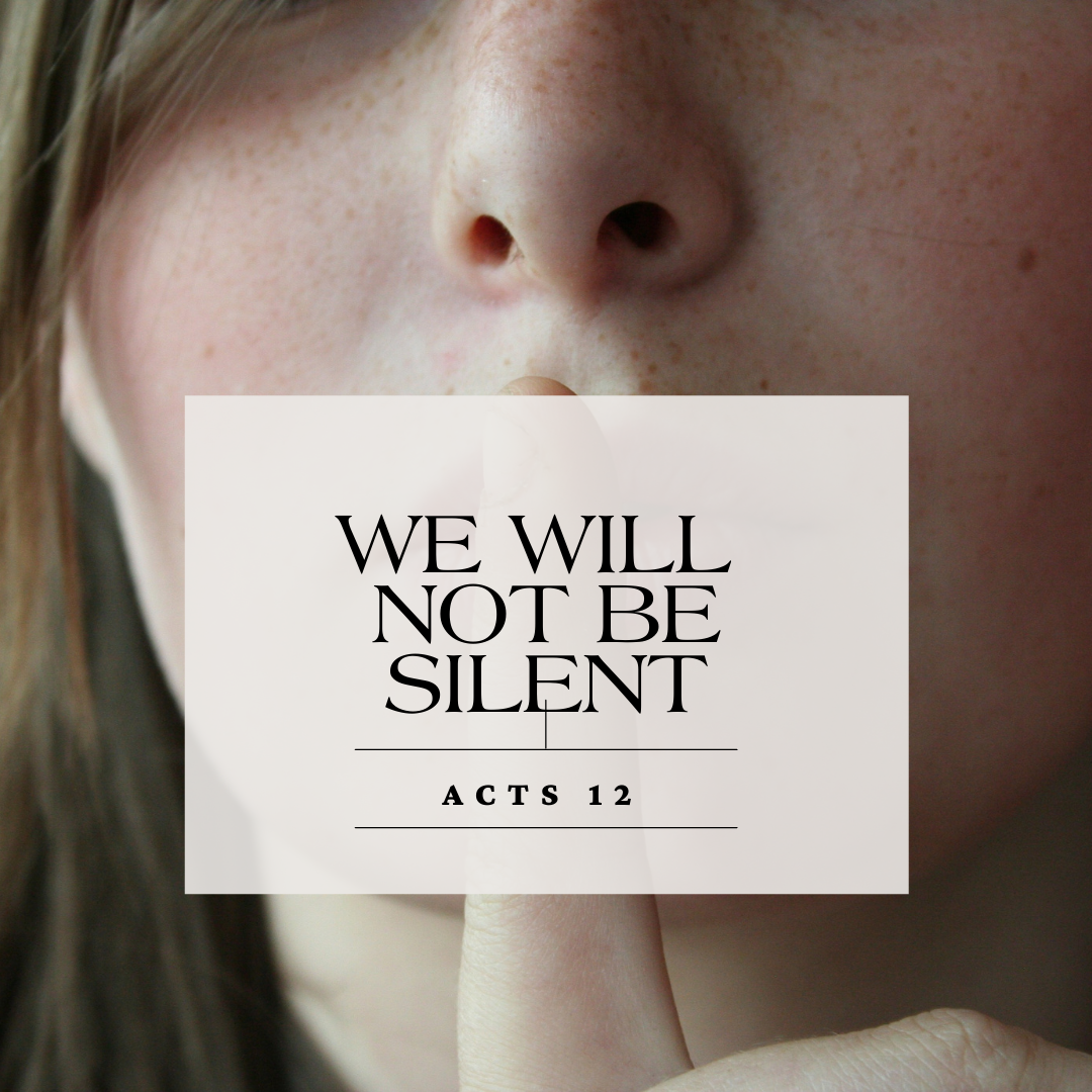 We Will Not Be Silent