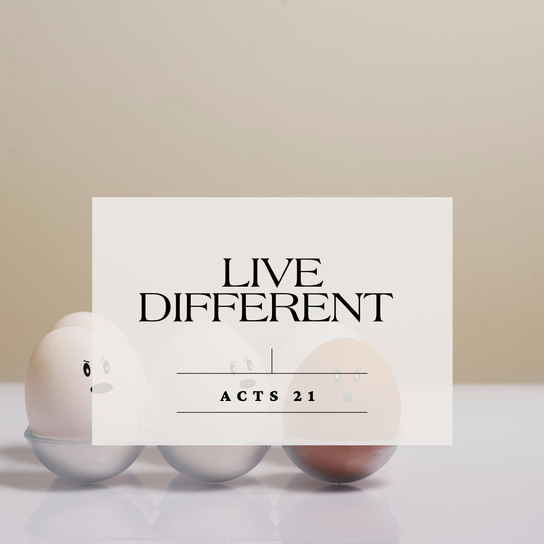 Live Different