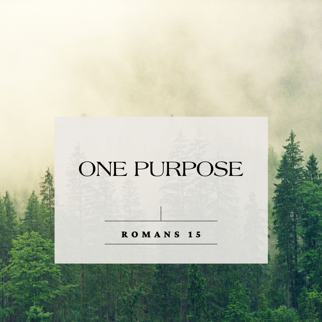 One Purpose