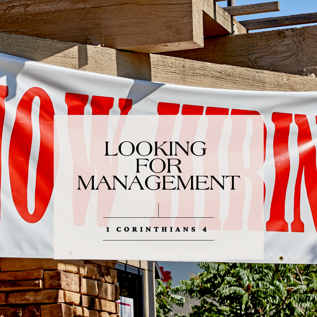 Looking for Management