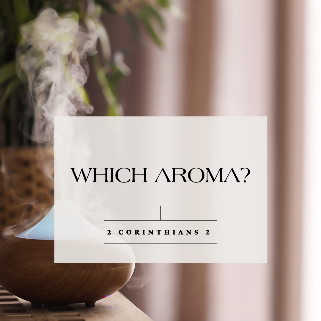 Which Aroma?