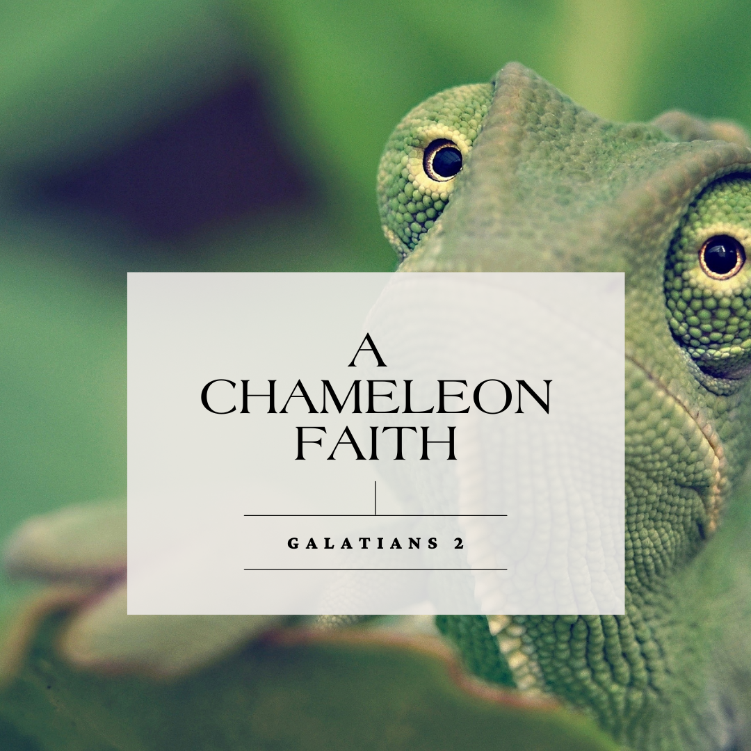 A Chameleon-Type Faith