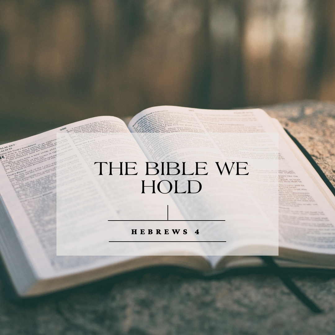 The Bible We Hold