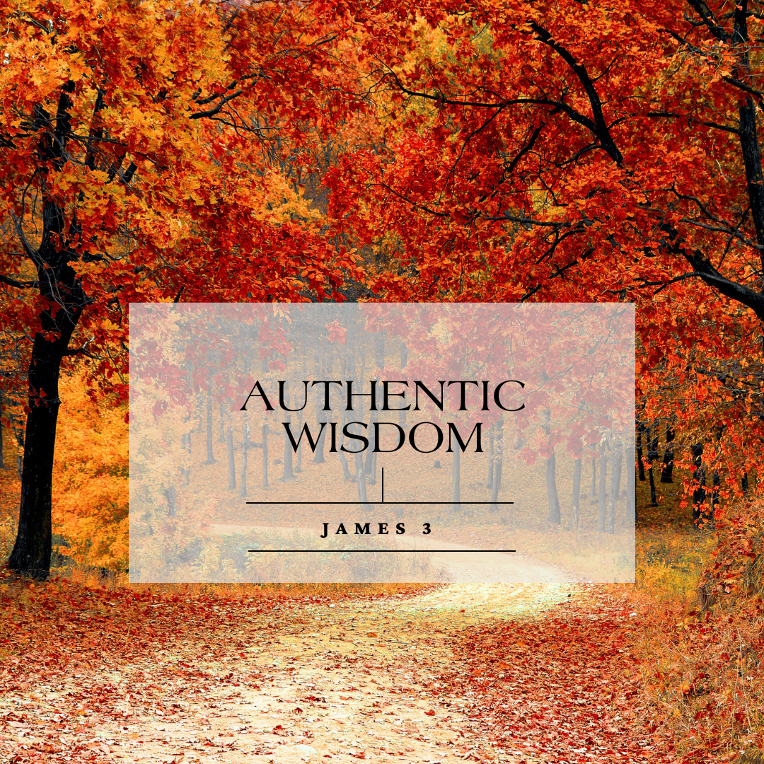 Authentic Wisdom