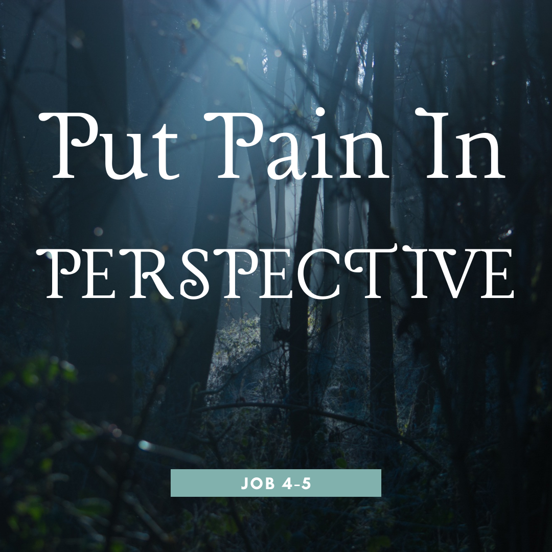 Put Pain In Perspective