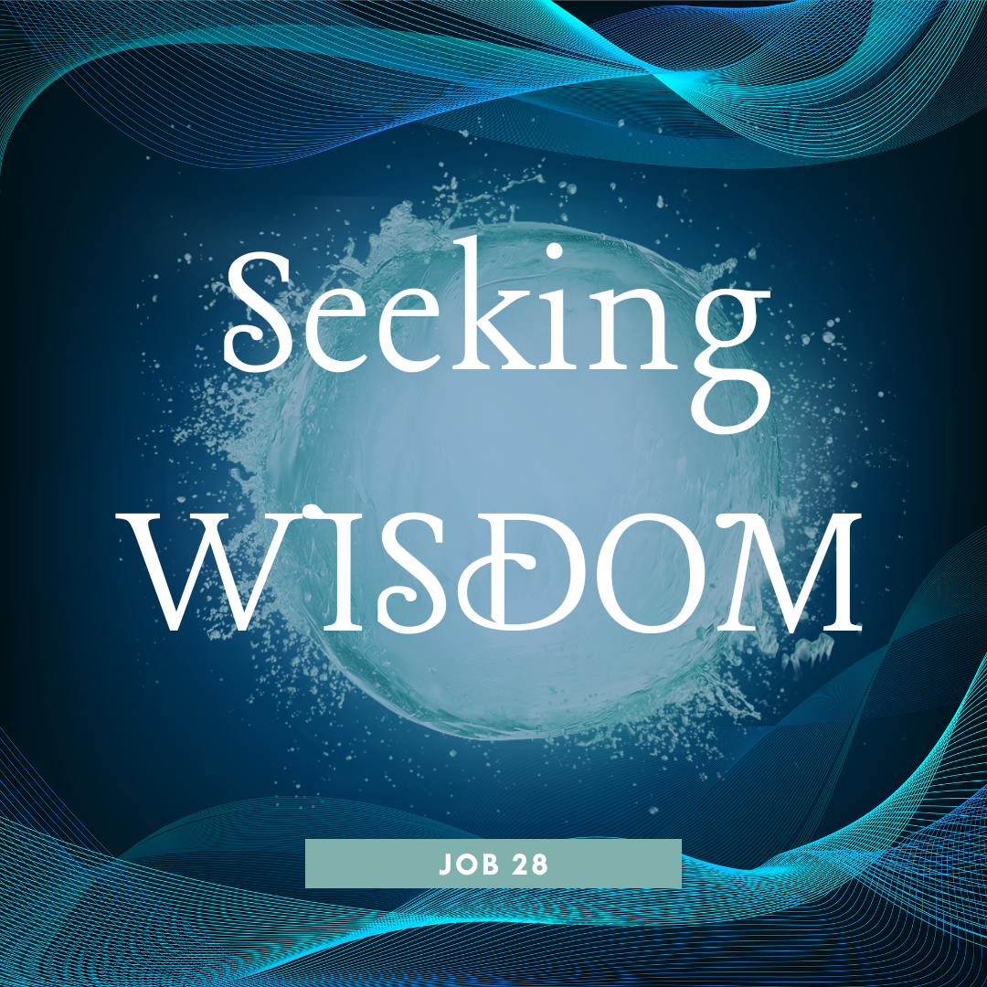 Seeking Wisdom